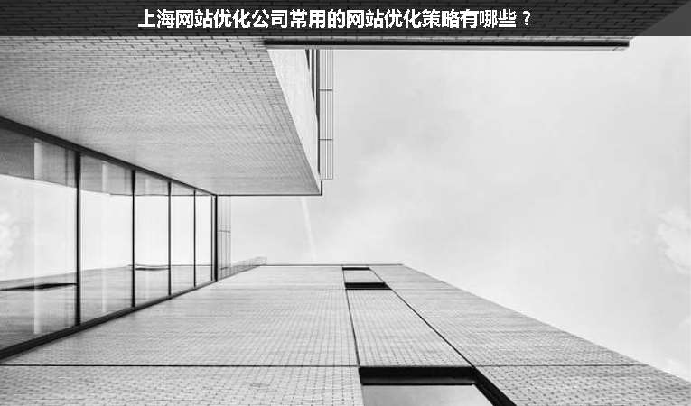 上海網站優化公司常用的網站優化策略有哪些？