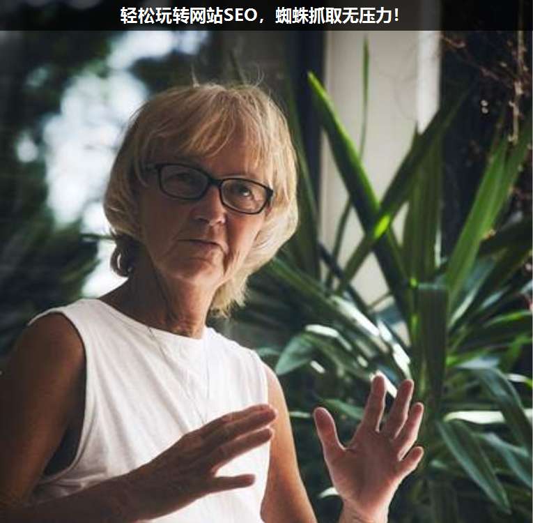 輕松玩轉(zhuǎn)網(wǎng)站SEO,蜘蛛抓取無壓力!