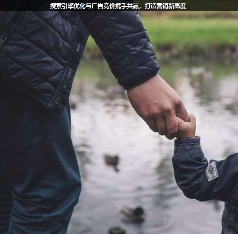 搜索引擎優(yōu)化與廣告競價(jià)攜手共贏,打造營銷新高度