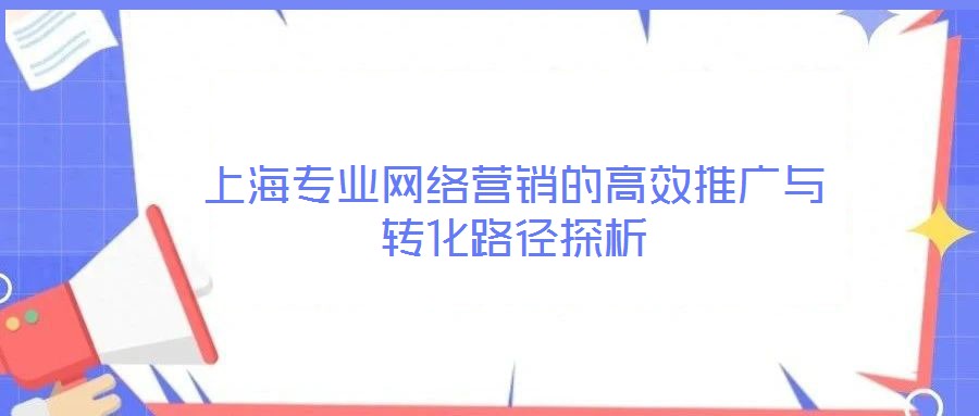 上海專業(yè)網(wǎng)絡營銷的高效推廣與轉(zhuǎn)化路徑探析