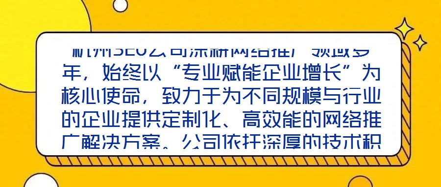 杭州SEO公司深耕網絡推廣領域多年，始終以“專業賦能企業增長”為核心使命，致力于為不同規模與行業的企業提供定制化、高效能的網絡推廣解決方案。公司依托深厚的技術積