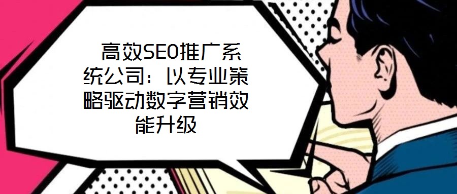 高效SEO推廣系統(tǒng)公司：以專業(yè)策略驅(qū)動數(shù)字營銷效能升級